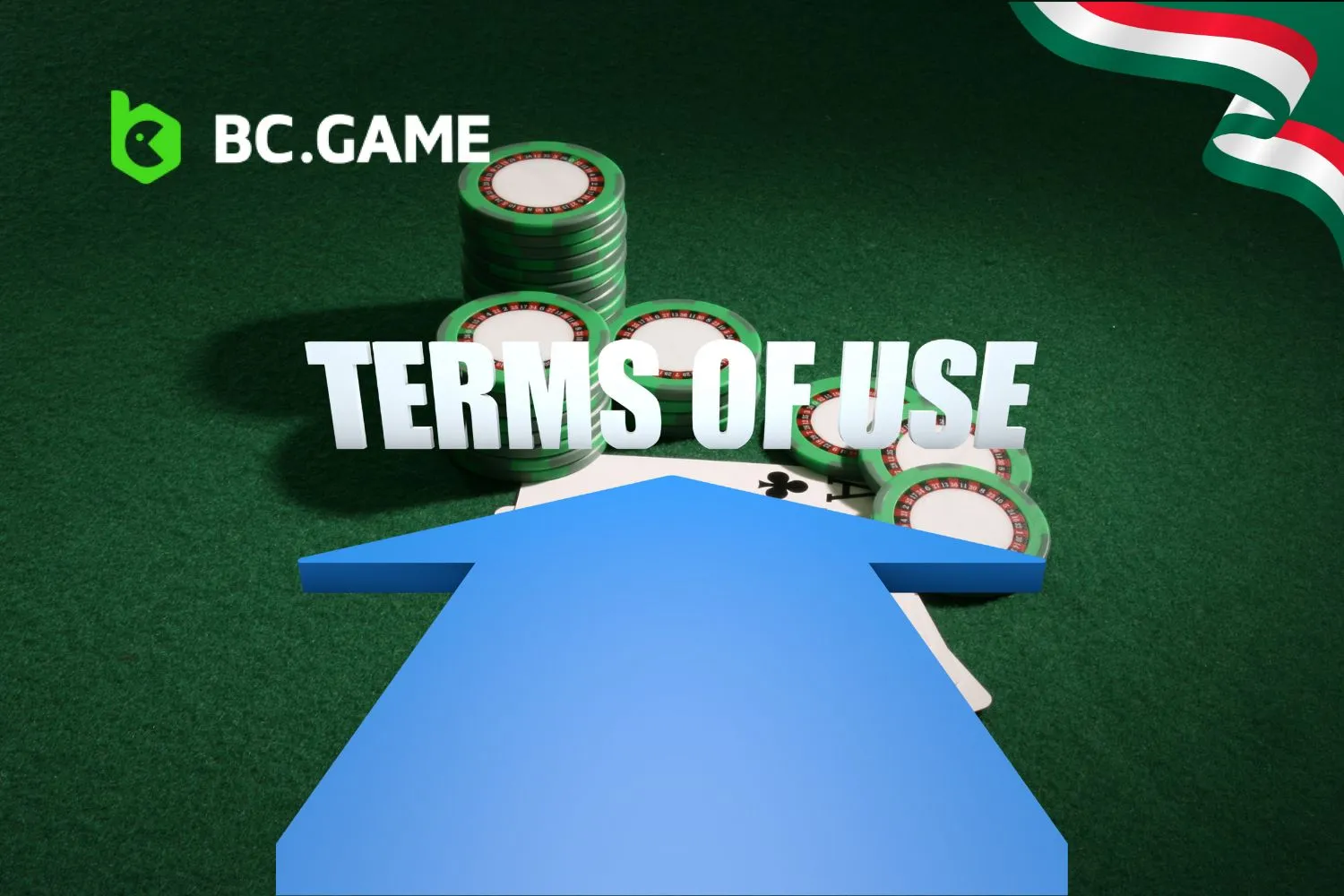 What Are the BC Game Terms of Use?